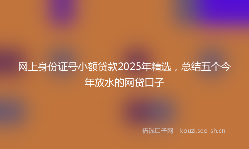 网上身份证号小额贷款2025年精选，总结五个今年放水的网贷口子
