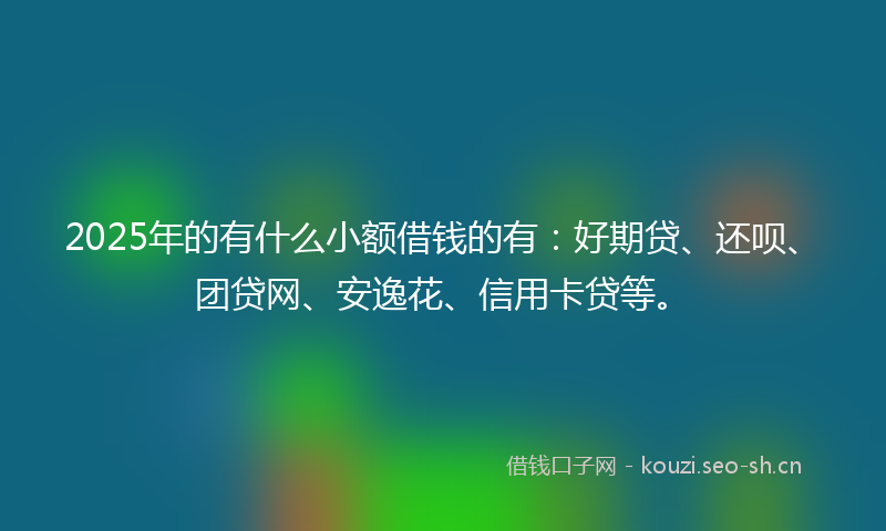 2025年的有什么小额借钱的有：好期贷、还呗、团贷网、安逸花、信用卡贷等。