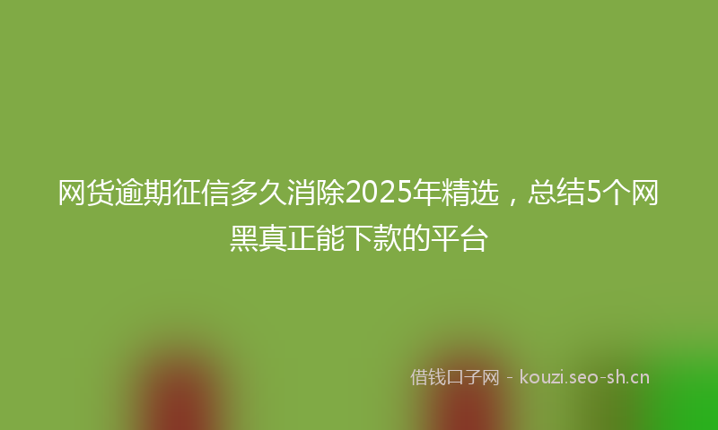 网货逾期征信多久消除2025年精选，总结5个网黑真正能下款的平台