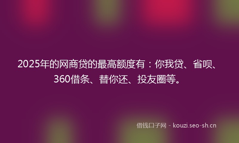 2025年的网商贷的最高额度有：你我贷、省呗、360借条、替你还、投友圈等。