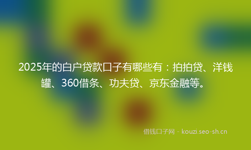 2025年的白户贷款口子有哪些有：拍拍贷、洋钱罐、360借条、功夫贷、京东金融等。