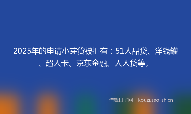 2025年的申请小芽贷被拒有：51人品贷、洋钱罐、超人卡、京东金融、人人贷等。