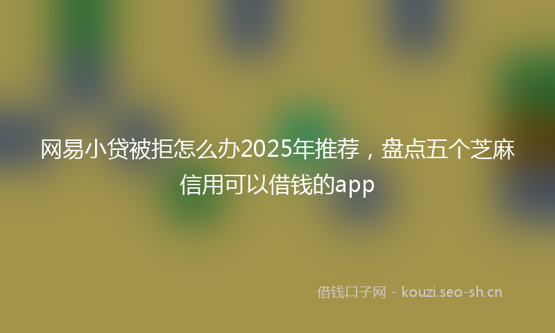 网易小贷被拒怎么办2025年推荐，盘点五个芝麻信用可以借钱的app