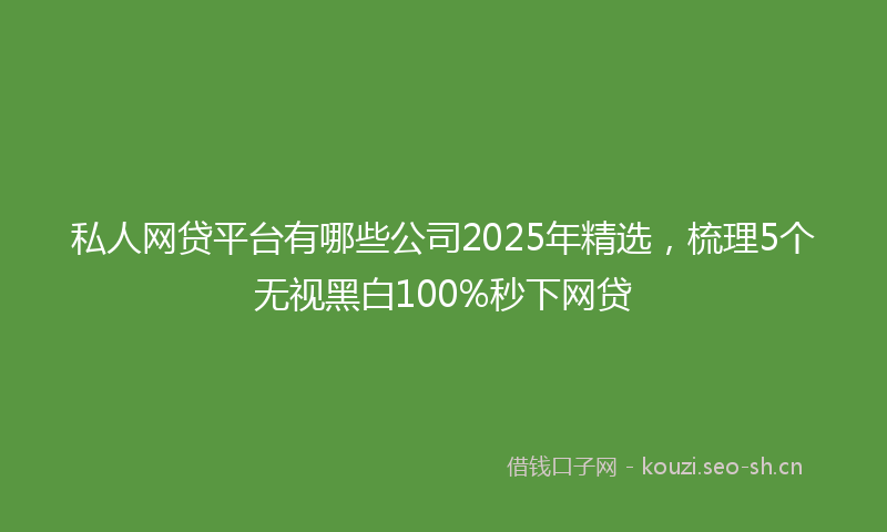 私人网贷平台有哪些公司2025年精选，梳理5个无视黑白100%秒下网贷