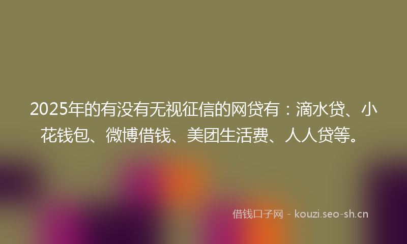 2025年的有没有无视征信的网贷有：滴水贷、小花钱包、微博借钱、美团生活费、人人贷等。