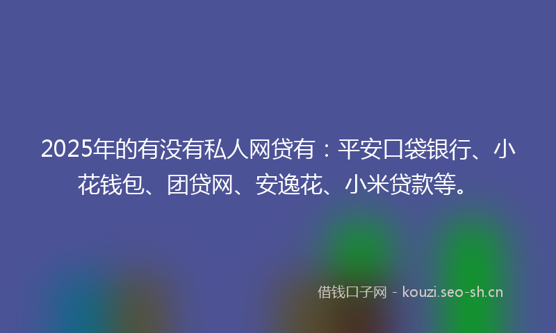 2025年的有没有私人网贷有：平安口袋银行、小花钱包、团贷网、安逸花、小米贷款等。