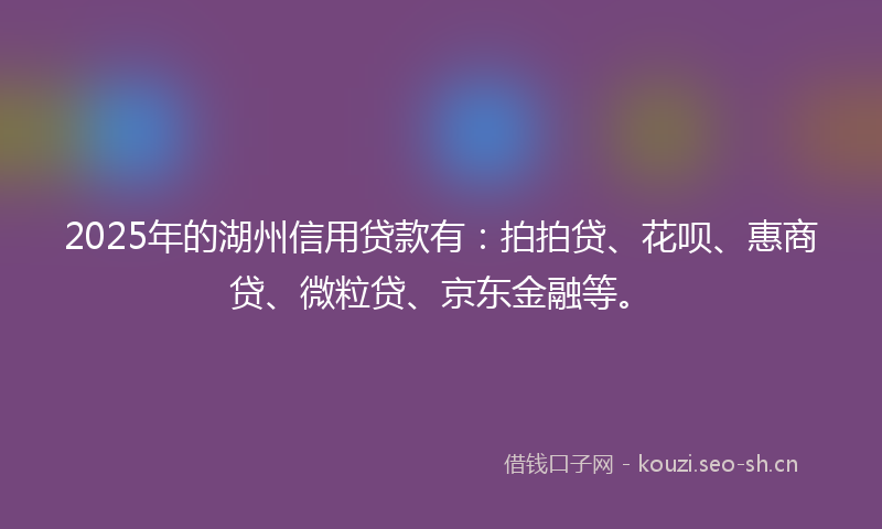 2025年的湖州信用贷款有：拍拍贷、花呗、惠商贷、微粒贷、京东金融等。