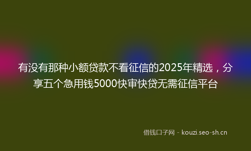 有没有那种小额贷款不看征信的2025年精选，分享五个急用钱5000快审快贷无需征信平台