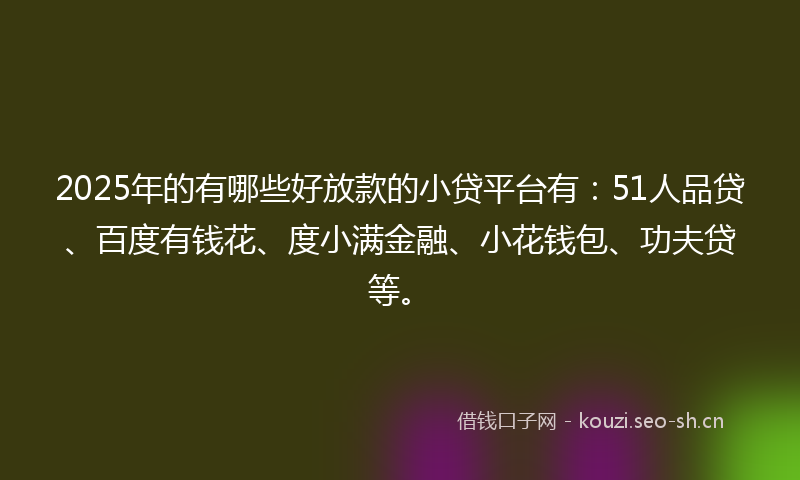2025年的有哪些好放款的小贷平台有：51人品贷、百度有钱花、度小满金融、小花钱包、功夫贷等。