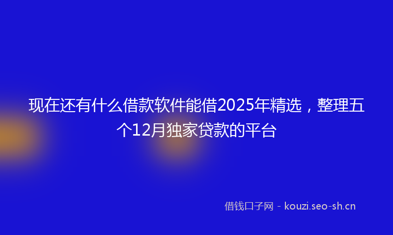 现在还有什么借款软件能借2025年精选，整理五个12月独家贷款的平台