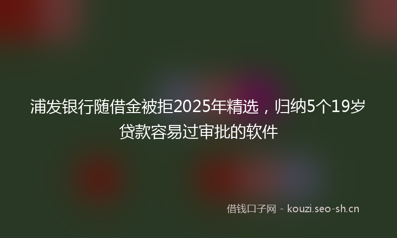 浦发银行随借金被拒2025年精选，归纳5个19岁贷款容易过审批的软件