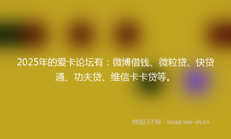 2025年的爱卡论坛有：微博借钱、微粒贷、快贷通、功夫贷、维信卡卡贷等。
