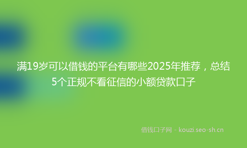 满19岁可以借钱的平台有哪些2025年推荐，总结5个正规不看征信的小额贷款口子