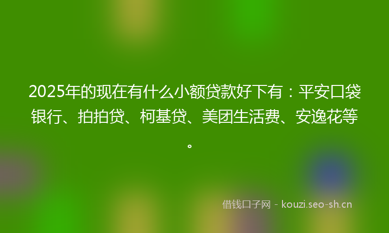 2025年的现在有什么小额贷款好下有：平安口袋银行、拍拍贷、柯基贷、美团生活费、安逸花等。