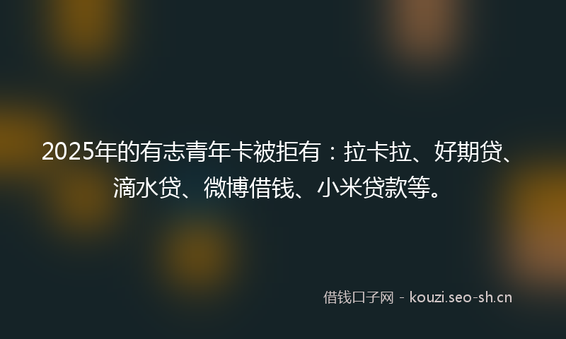 2025年的有志青年卡被拒有：拉卡拉、好期贷、滴水贷、微博借钱、小米贷款等。