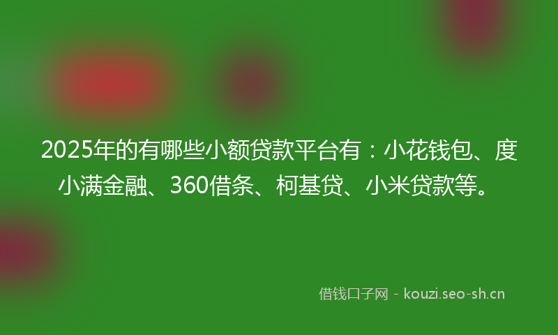 2025年的有哪些小额贷款平台有：小花钱包、度小满金融、360借条、柯基贷、小米贷款等。