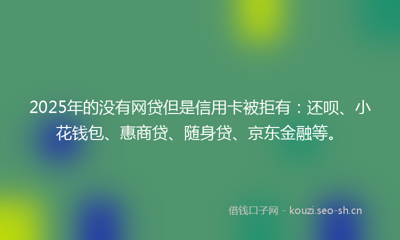 2025年的没有网贷但是信用卡被拒有：还呗、小花钱包、惠商贷、随身贷、京东金融等。