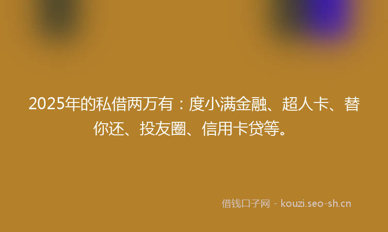 2025年的私借两万有：度小满金融、超人卡、替你还、投友圈、信用卡贷等。