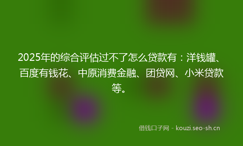 2025年的综合评估过不了怎么贷款有：洋钱罐、百度有钱花、中原消费金融、团贷网、小米贷款等。