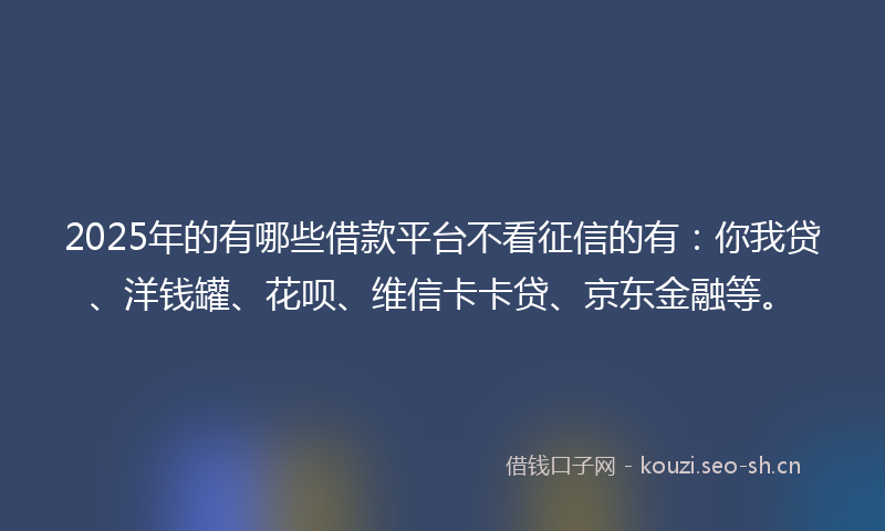 2025年的有哪些借款平台不看征信的有：你我贷、洋钱罐、花呗、维信卡卡贷、京东金融等。