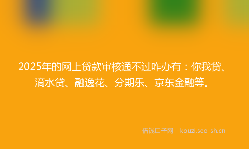 2025年的网上贷款审核通不过咋办有：你我贷、滴水贷、融逸花、分期乐、京东金融等。