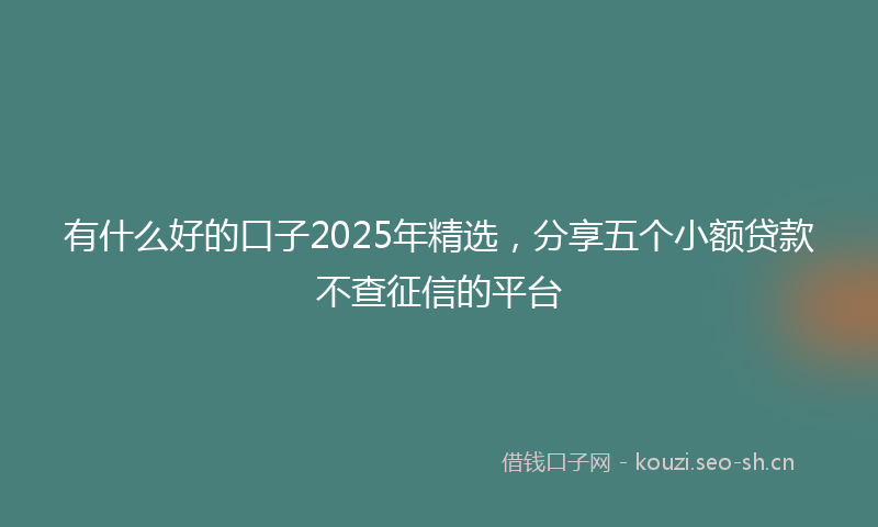 有什么好的口子2025年精选，分享五个小额贷款不查征信的平台