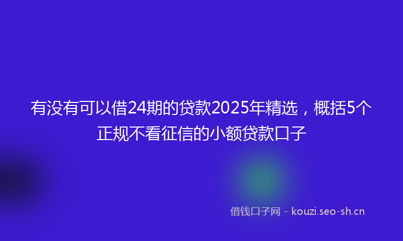 有没有可以借24期的贷款2025年精选，概括5个正规不看征信的小额贷款口子