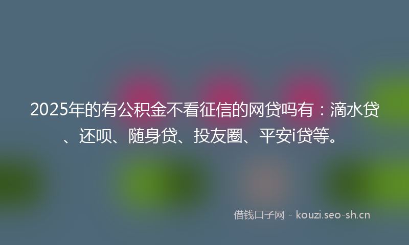 2025年的有公积金不看征信的网贷吗有：滴水贷、还呗、随身贷、投友圈、平安i贷等。