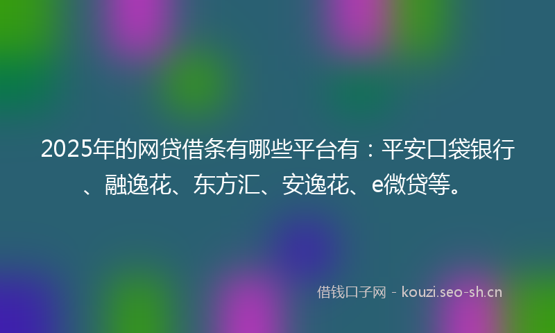 2025年的网贷借条有哪些平台有：平安口袋银行、融逸花、东方汇、安逸花、e微贷等。