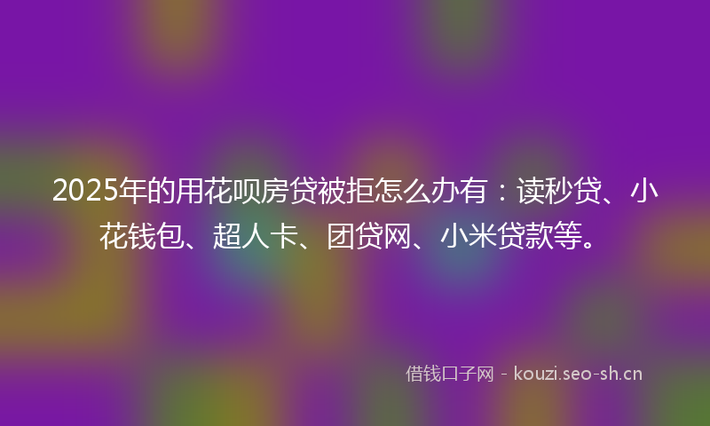 2025年的用花呗房贷被拒怎么办有：读秒贷、小花钱包、超人卡、团贷网、小米贷款等。