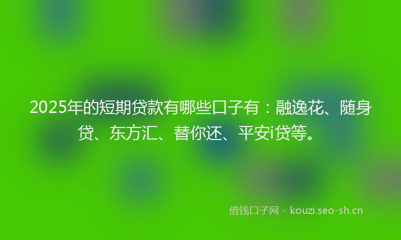 2025年的短期贷款有哪些口子有：融逸花、随身贷、东方汇、替你还、平安i贷等。