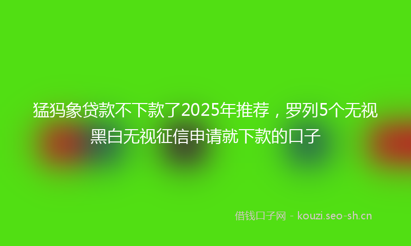 猛犸象贷款不下款了2025年推荐，罗列5个无视黑白无视征信申请就下款的口子