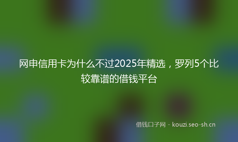 网申信用卡为什么不过2025年精选，罗列5个比较靠谱的借钱平台