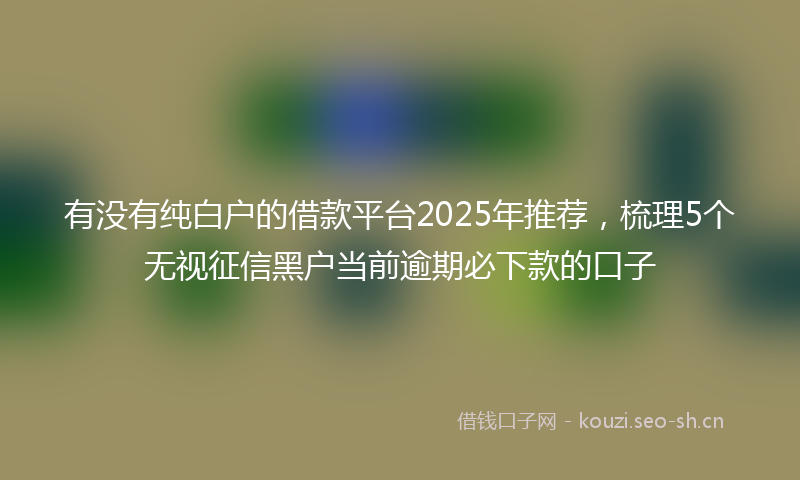 有没有纯白户的借款平台2025年推荐，梳理5个无视征信黑户当前逾期必下款的口子