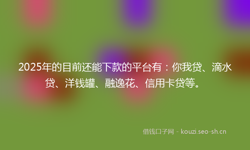 2025年的目前还能下款的平台有：你我贷、滴水贷、洋钱罐、融逸花、信用卡贷等。
