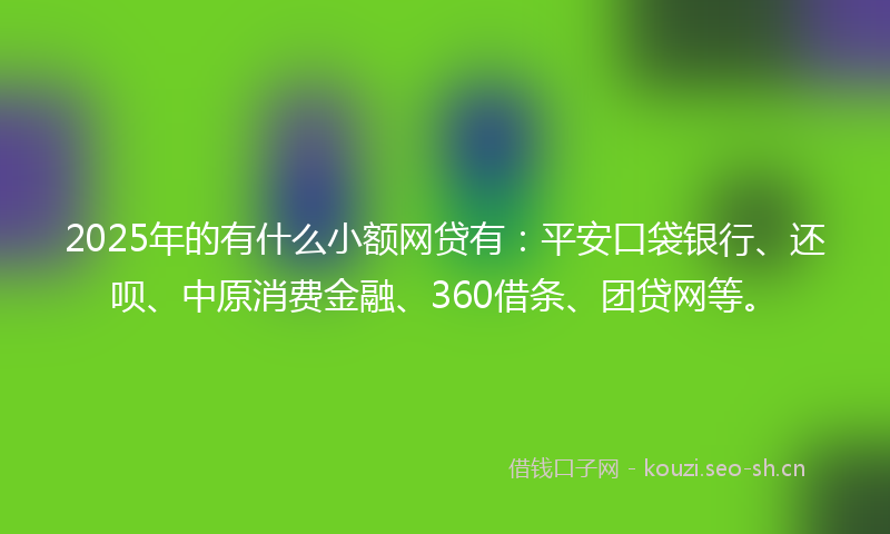 2025年的有什么小额网贷有：平安口袋银行、还呗、中原消费金融、360借条、团贷网等。