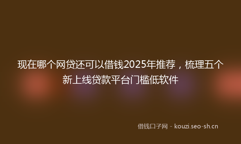 现在哪个网贷还可以借钱2025年推荐，梳理五个新上线贷款平台门槛低软件