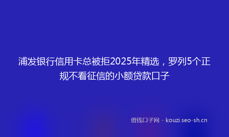 浦发银行信用卡总被拒2025年精选，罗列5个正规不看征信的小额贷款口子