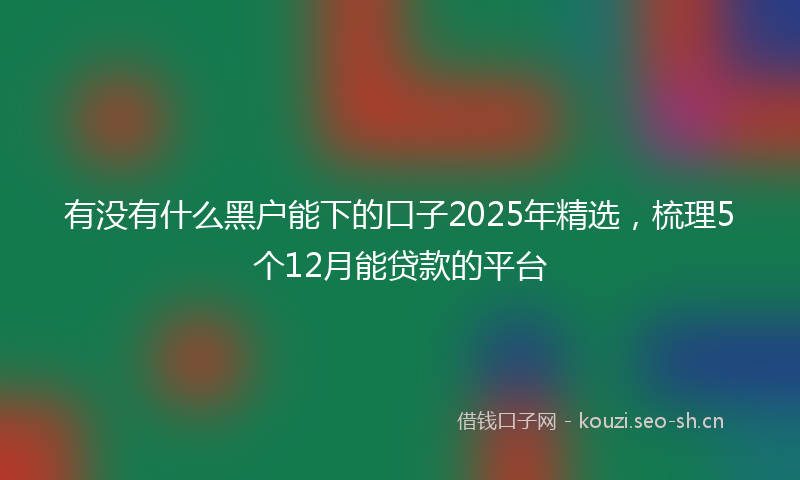 有没有什么黑户能下的口子2025年精选，梳理5个12月能贷款的平台