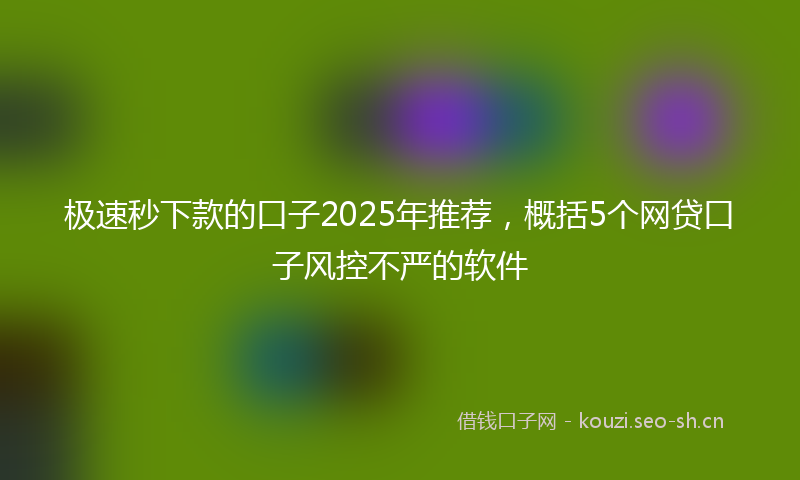 极速秒下款的口子2025年推荐,概括5个网贷口子风控不严的软件