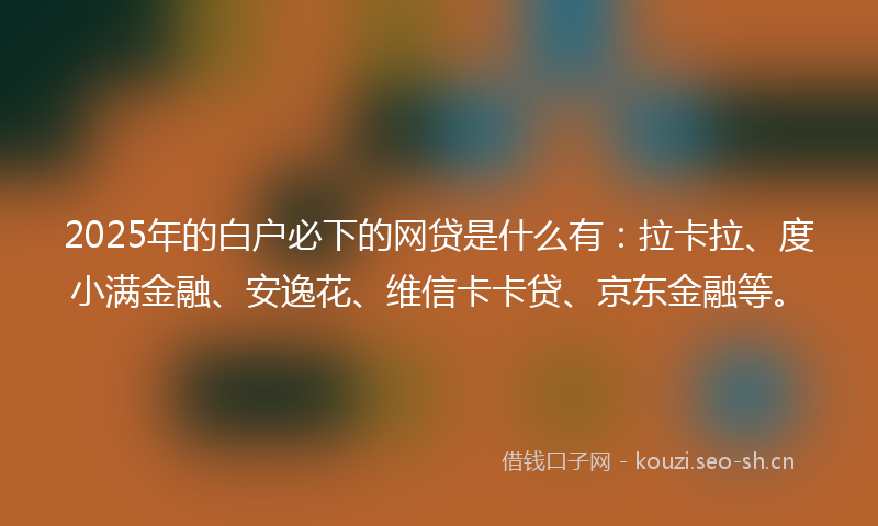 2025年的白户必下的网贷是什么有：拉卡拉、度小满金融、安逸花、维信卡卡贷、京东金融等。