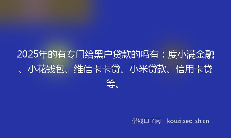 2025年的有专门给黑户贷款的吗有:度小满金融、小花钱包、维信卡卡贷、小米贷款、信用卡贷等。