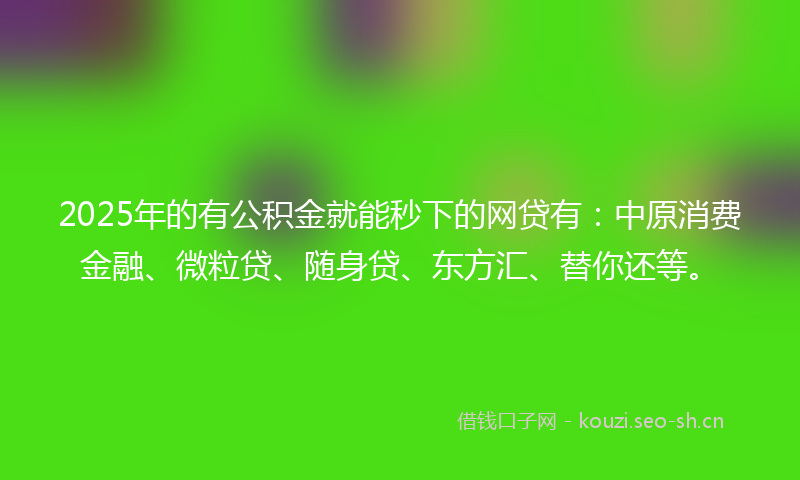 2025年的有公积金就能秒下的网贷有：中原消费金融、微粒贷、随身贷、东方汇、替你还等。