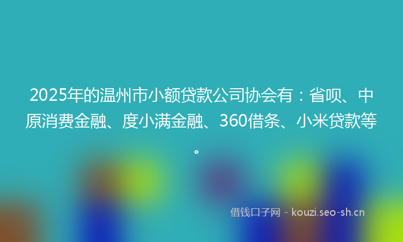 2025年的温州市小额贷款公司协会有：省呗、中原消费金融、度小满金融、360借条、小米贷款等。