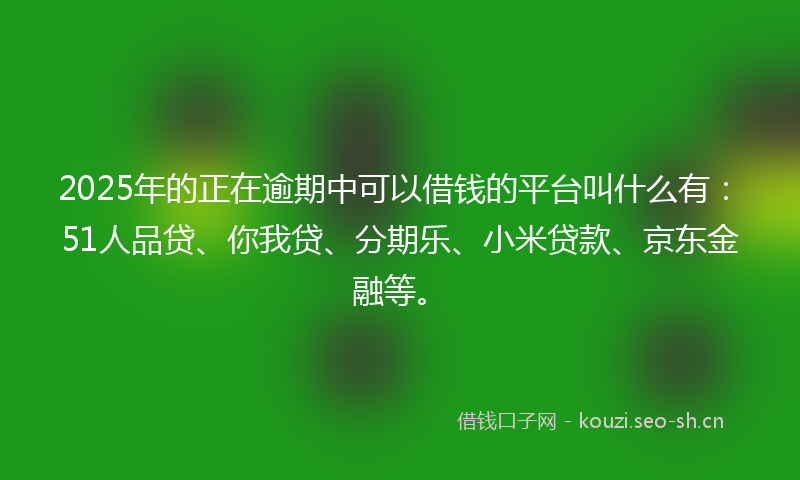 2025年的正在逾期中可以借钱的平台叫什么有：51人品贷、你我贷、分期乐、小米贷款、京东金融等。