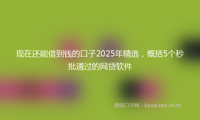 现在还能借到钱的口子2025年精选，概括5个秒批通过的网贷软件