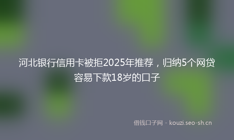 河北银行信用卡被拒2025年推荐，归纳5个网贷容易下款18岁的口子