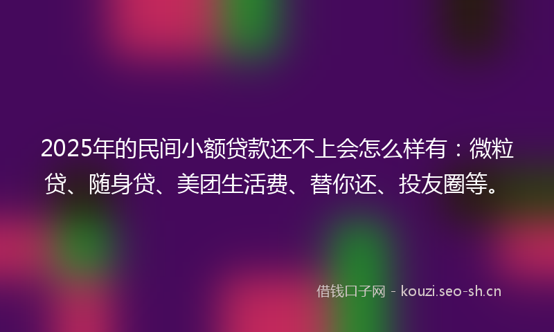2025年的民间小额贷款还不上会怎么样有：微粒贷、随身贷、美团生活费、替你还、投友圈等。