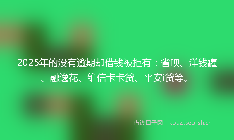 2025年的没有逾期却借钱被拒有：省呗、洋钱罐、融逸花、维信卡卡贷、平安i贷等。
