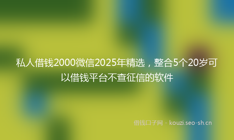 私人借钱2000微信2025年精选，整合5个20岁可以借钱平台不查征信的软件